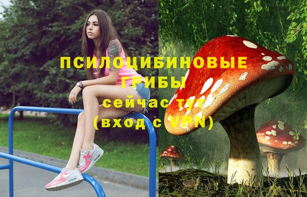 амфетамин Архангельск