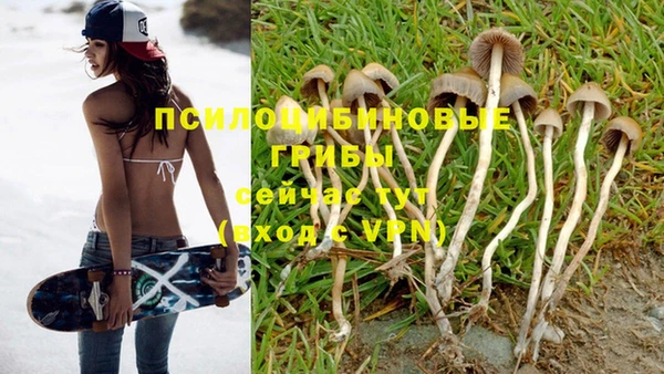 амфетамин Осинники