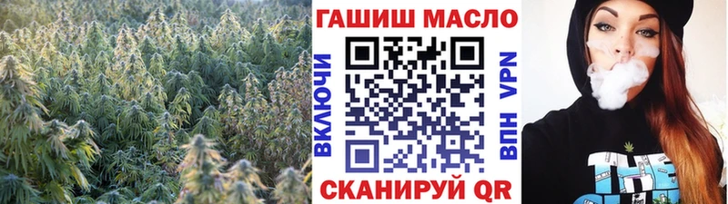 где продают   Полярный  ТГК концентрат 