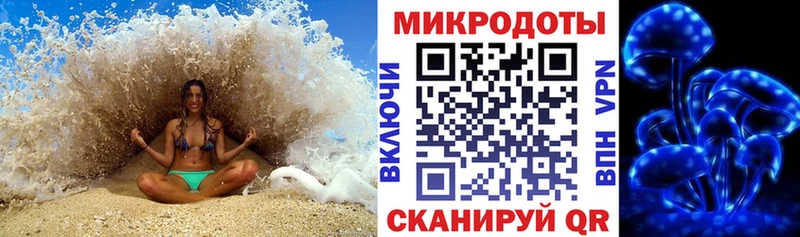 купить наркотики цена  дарк нет наркотические препараты  Псилоцибиновые грибы MAGIC MUSHROOMS  Полярный 